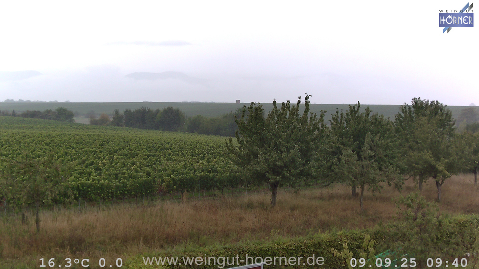 Webcam Weinberge Hochstadt