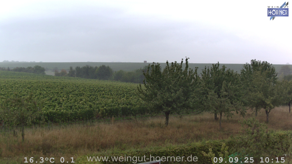 Webcam Weinberge Hochstadt