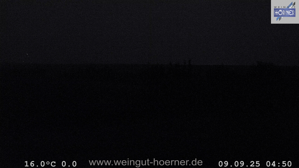 Webcam Weinberge Hochstadt