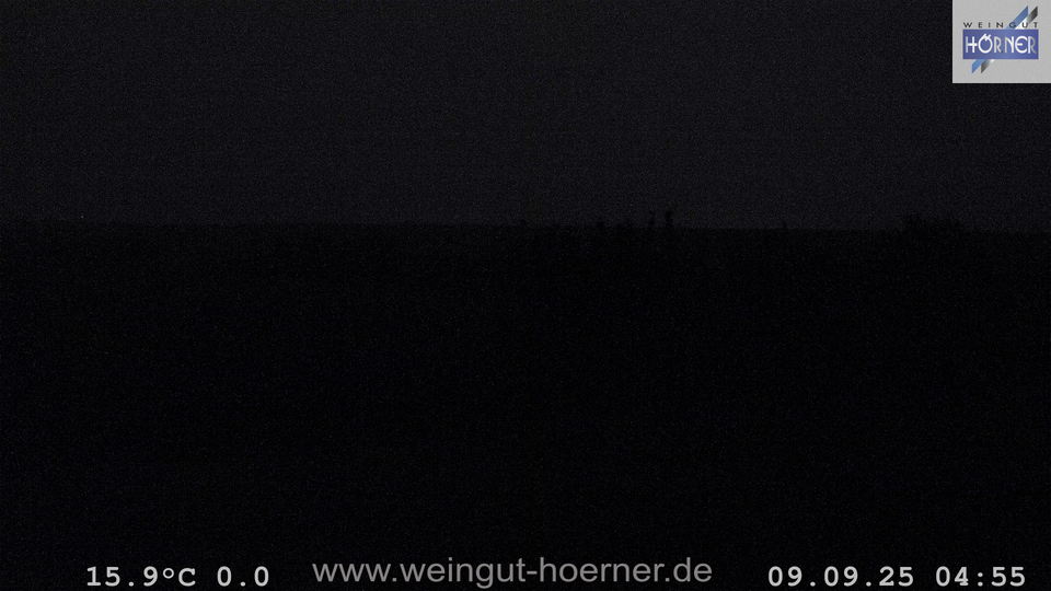 Webcam Weinberge Hochstadt