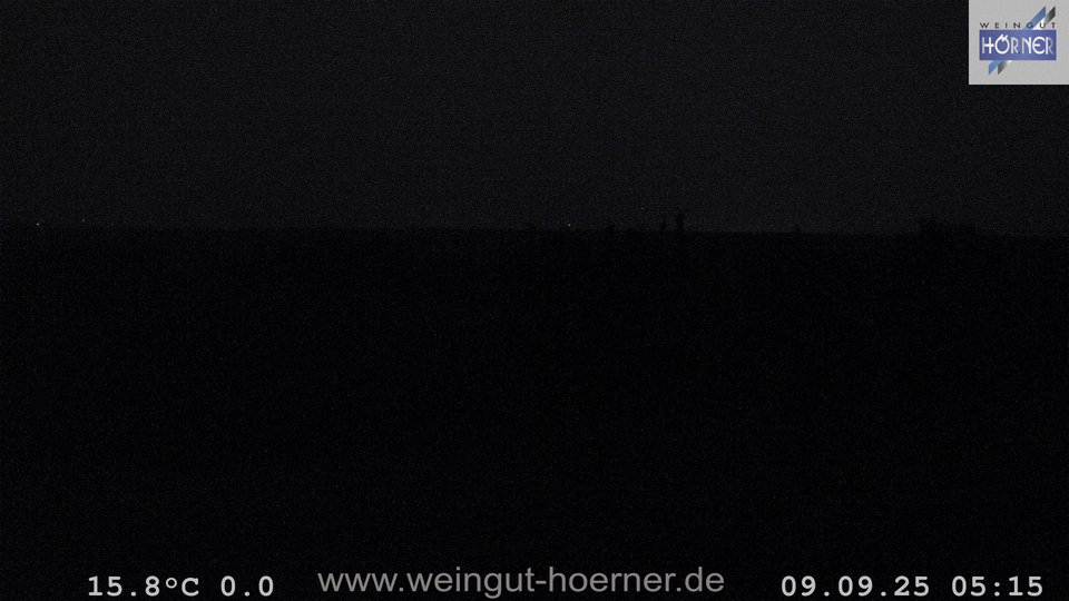 Webcam Weinberge Hochstadt