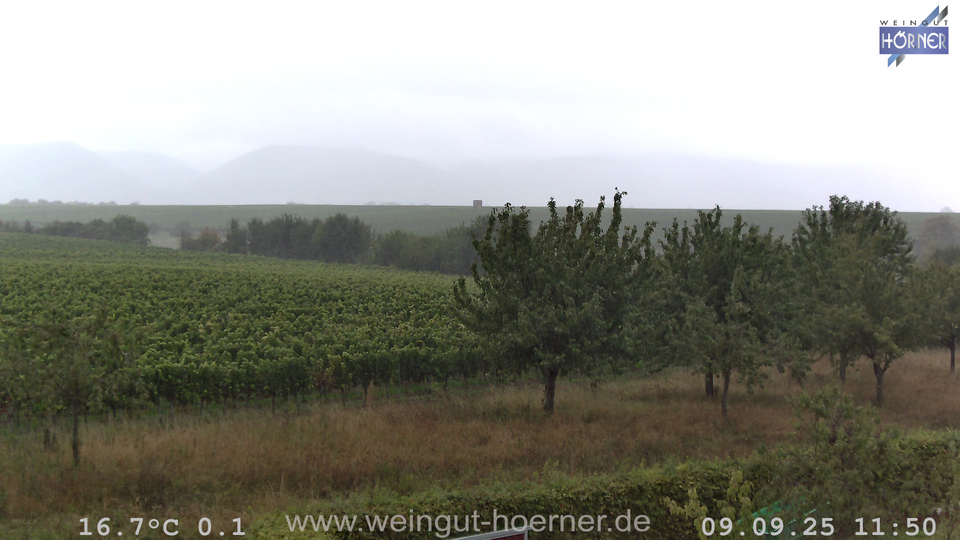 Webcam Weinberge Hochstadt