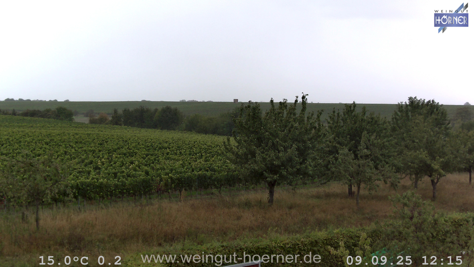 Webcam Weinberge Hochstadt