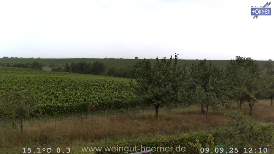 Webcam Weinberge Hochstadt