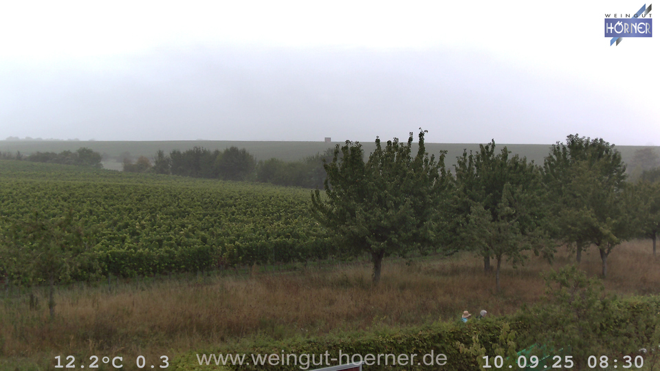 Webcam Weinberge Hochstadt