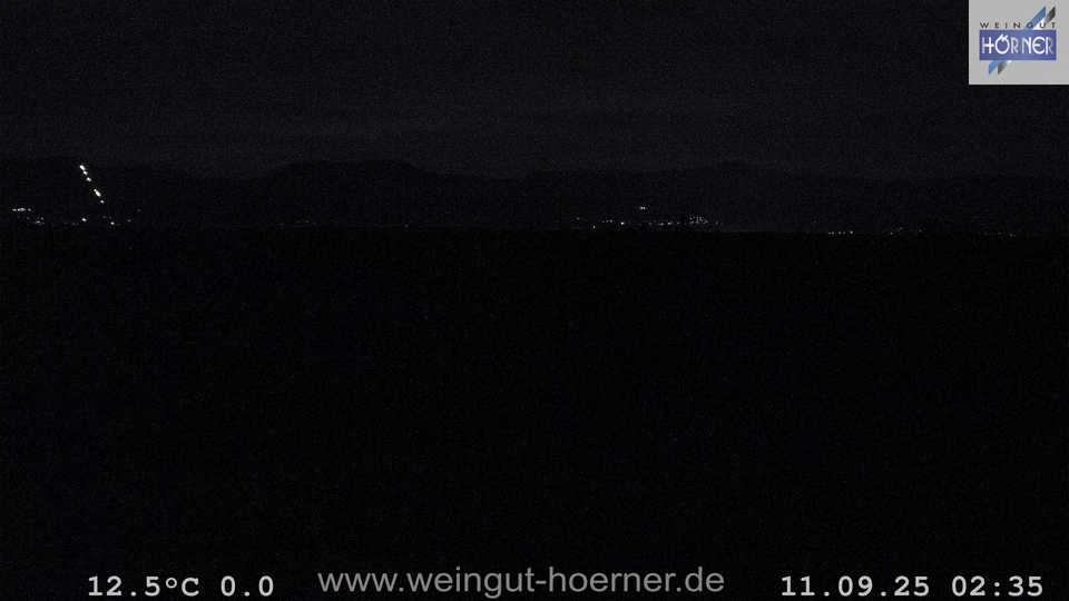 Webcam Weinberge Hochstadt