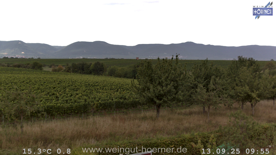 Webcam Weinberge Hochstadt