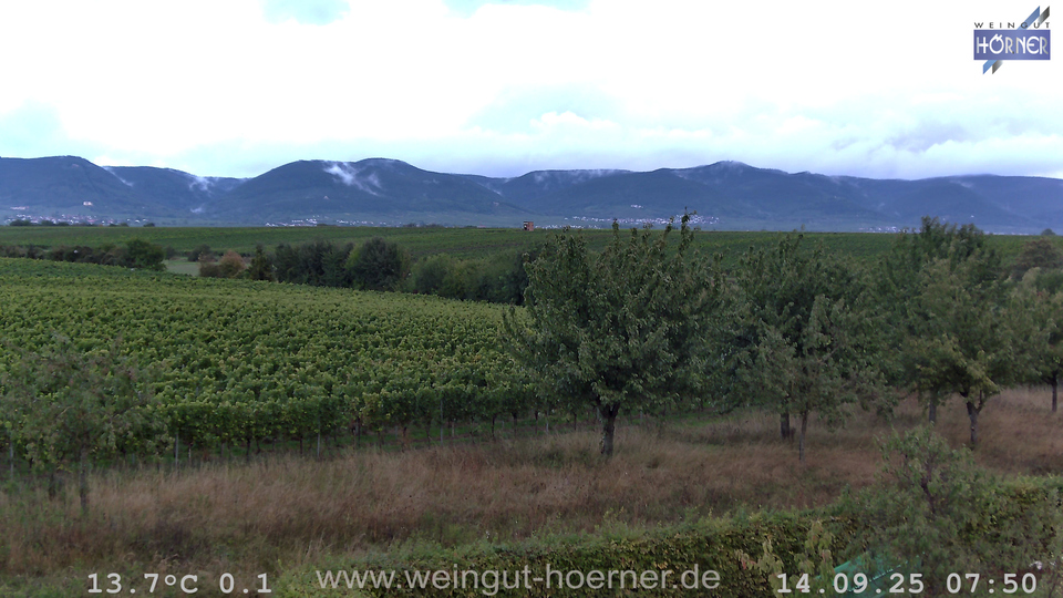 Webcam Weinberge Hochstadt