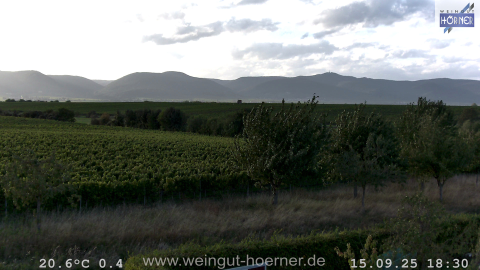 Webcam Weinberge Hochstadt