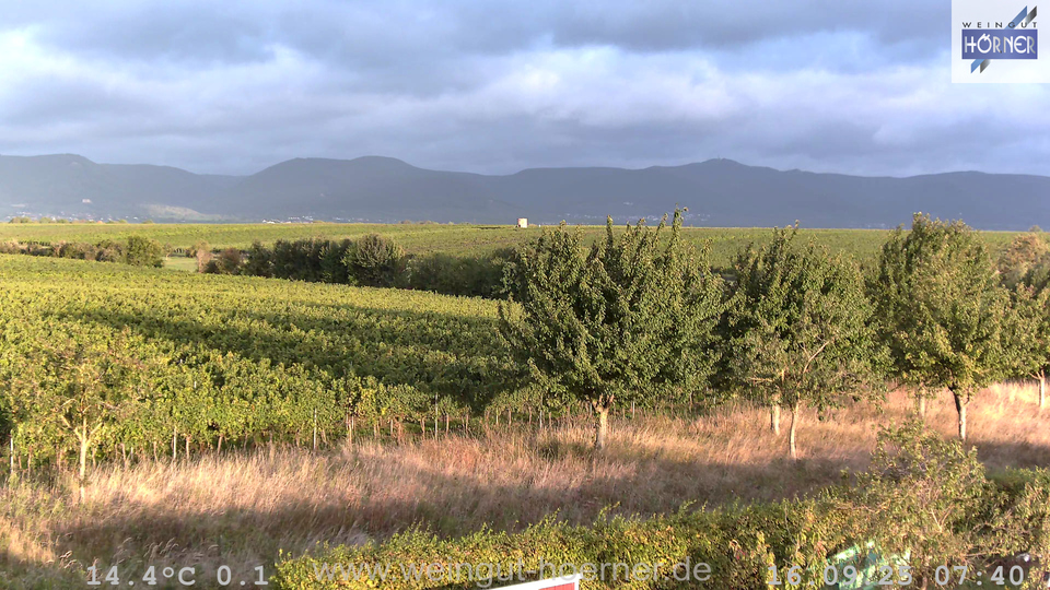 Webcam Weinberge Hochstadt