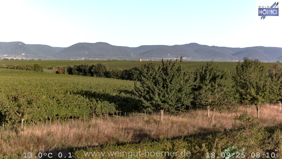 Webcam Weinberge Hochstadt