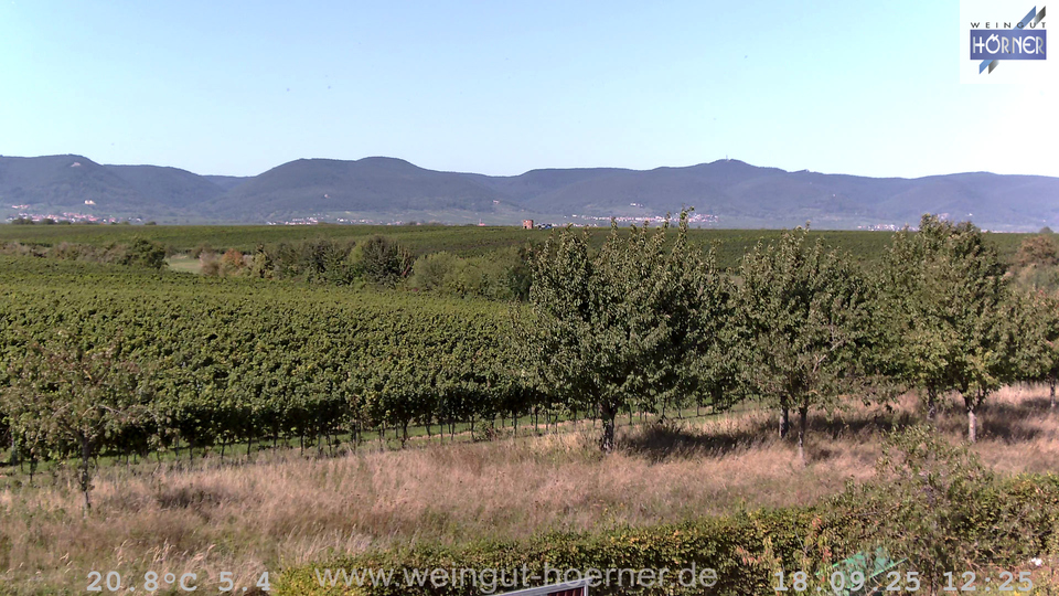 Webcam Weinberge Hochstadt
