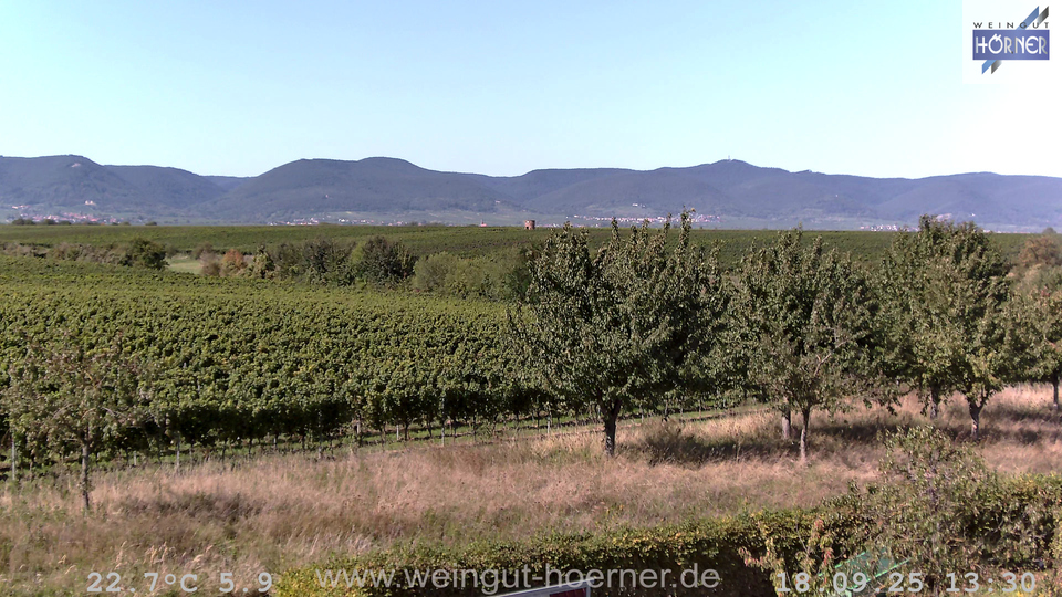 Webcam Weinberge Hochstadt