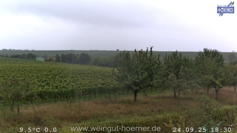 Webcam Weinberge Hochstadt