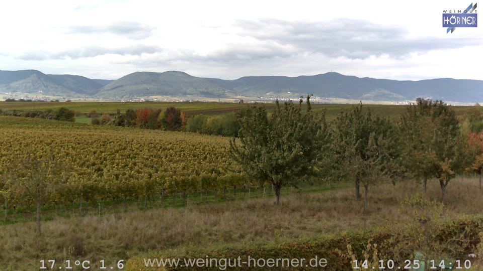 Webcam Hochstadt Pfalz aktuell Webcam Weinberge Hochstadt