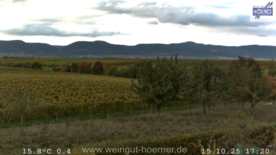 Webcam Weinberge Hochstadt
