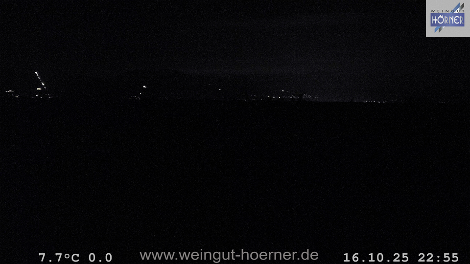 Webcam Hochstadt Pfalz aktuell Webcam Weinberge Hochstadt