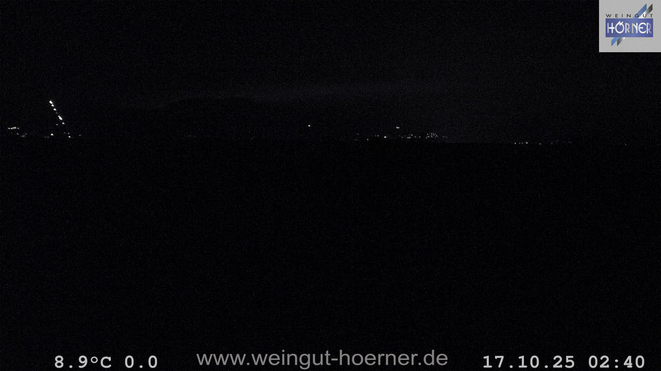 Webcam Hochstadt Pfalz aktuell Webcam Weinberge Hochstadt