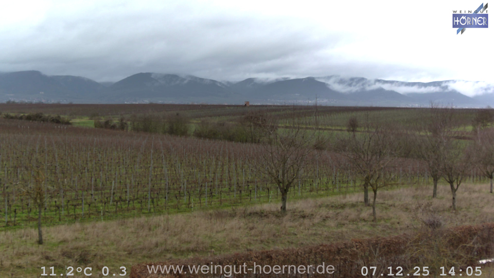 Webcam Weinberge Hochstadt