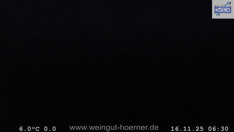 Webcam Weinberge Hochstadt