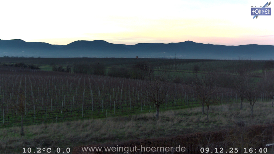 Webcam Weinberge Hochstadt