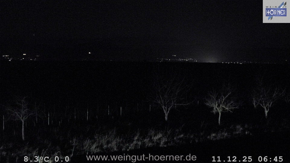 Webcam Weinberge Hochstadt
