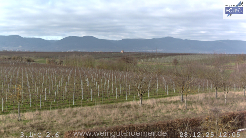 Webcam Weinberge Hochstadt