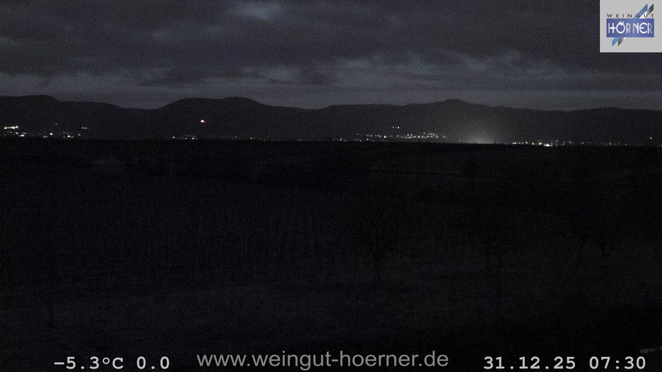 Webcam Weinberge Hochstadt