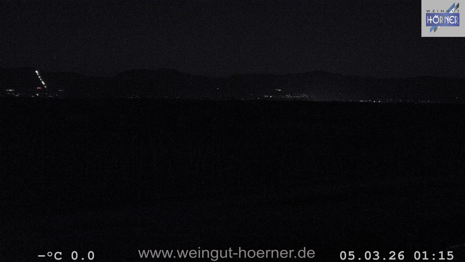 Webcam Weinberge Hochstadt