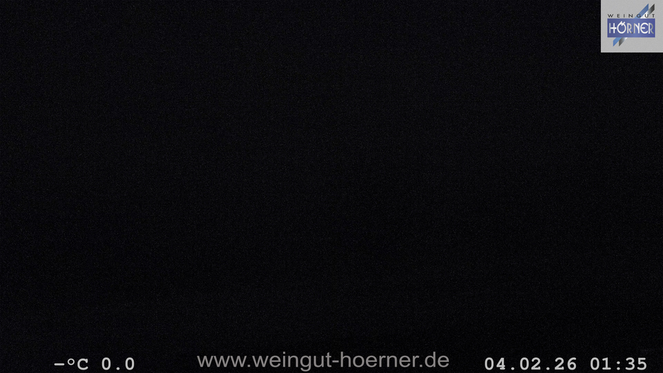 Webcam Weinberge Hochstadt