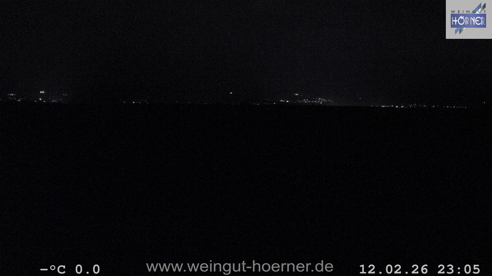 Webcam Weinberge Hochstadt