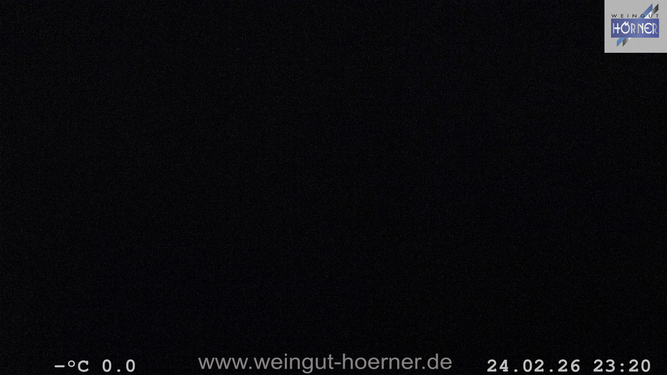 Webcam Weinberge Hochstadt