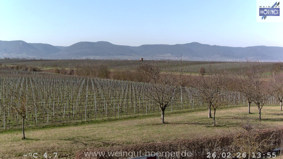 Webcam Weinberge Hochstadt