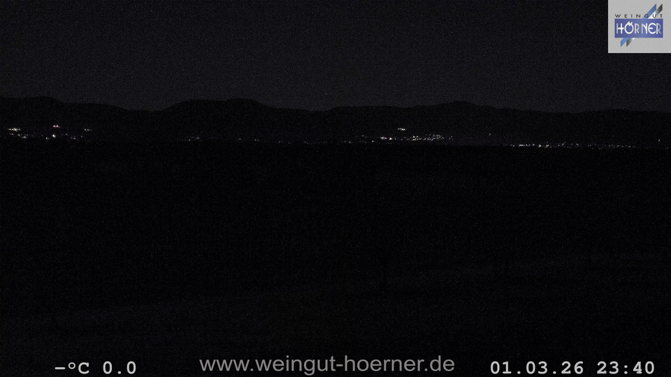 Webcam Weinberge Hochstadt