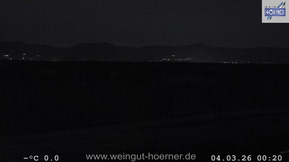 Webcam Weinberge Hochstadt
