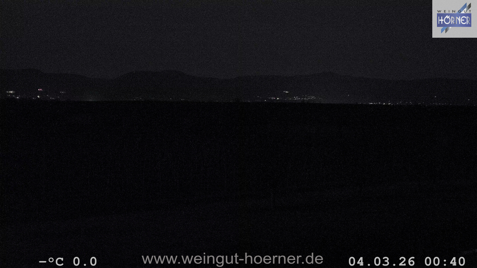 Webcam Weinberge Hochstadt