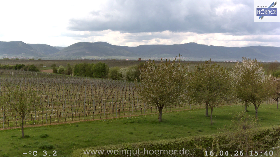 Webcam Weinberge Hochstadt