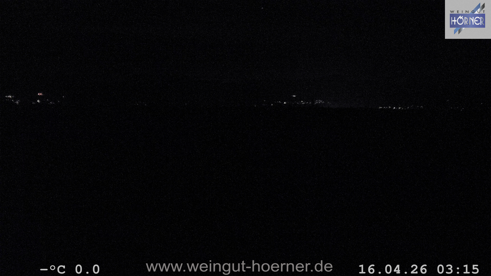 Webcam Weinberge Hochstadt
