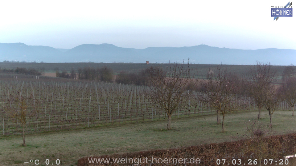 Webcam Weinberge Hochstadt