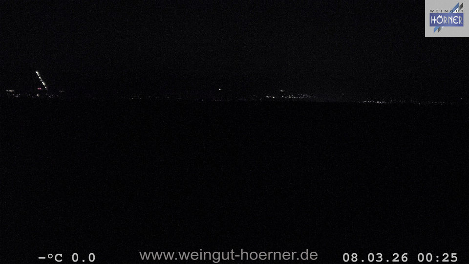 Webcam Weinberge Hochstadt