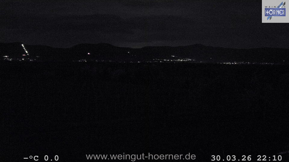 Webcam Weinberge Hochstadt