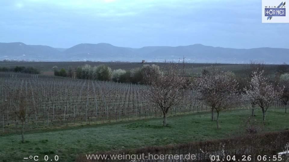 Webcam Weinberge Hochstadt