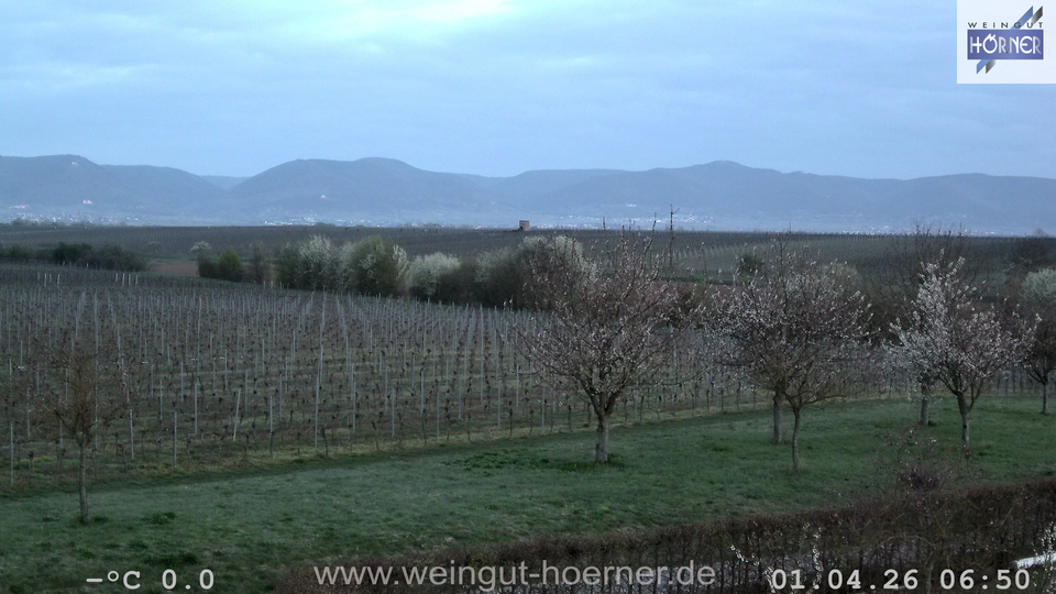 Webcam Weinberge Hochstadt