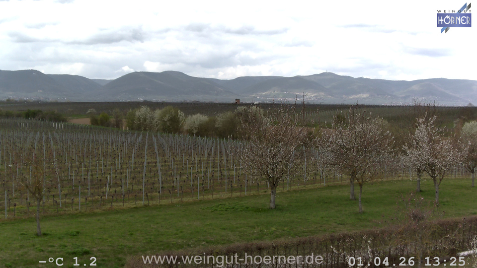 Webcam Weinberge Hochstadt