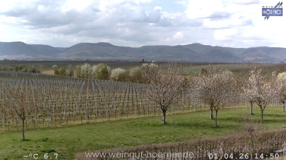 Webcam Weinberge Hochstadt
