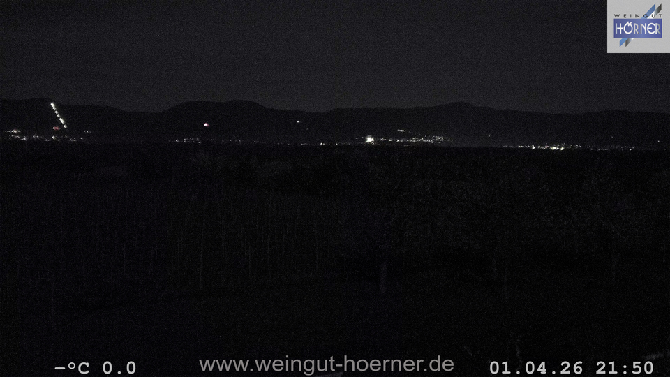 Webcam Weinberge Hochstadt
