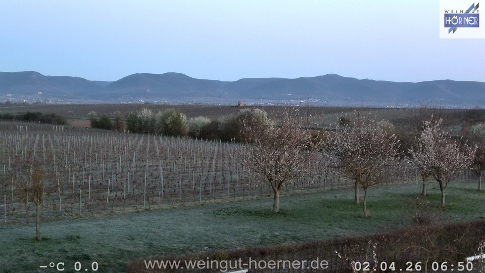 Webcam Weinberge Hochstadt