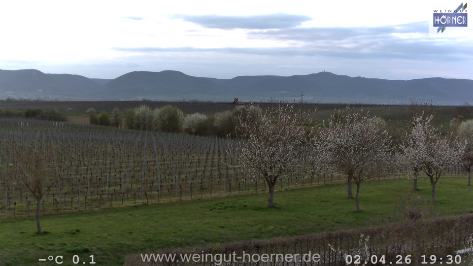Webcam Weinberge Hochstadt