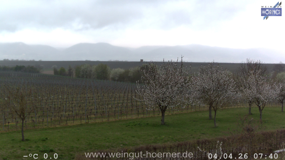 Webcam Weinberge Hochstadt