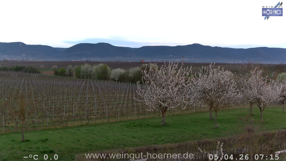 Webcam Weinberge Hochstadt